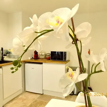 Le Nid D'Abeille, La Ruche Rurale Apartment Manosque Exterior photo