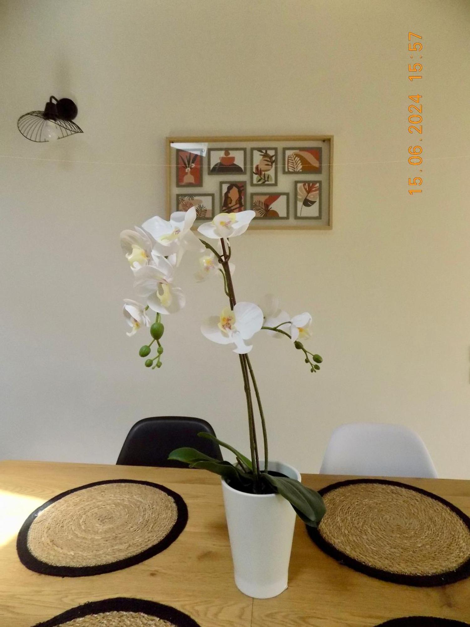 Le Nid D'abeille, La Ruche Rurale Apartment